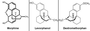 chemical comparison DM-Lev_Morph